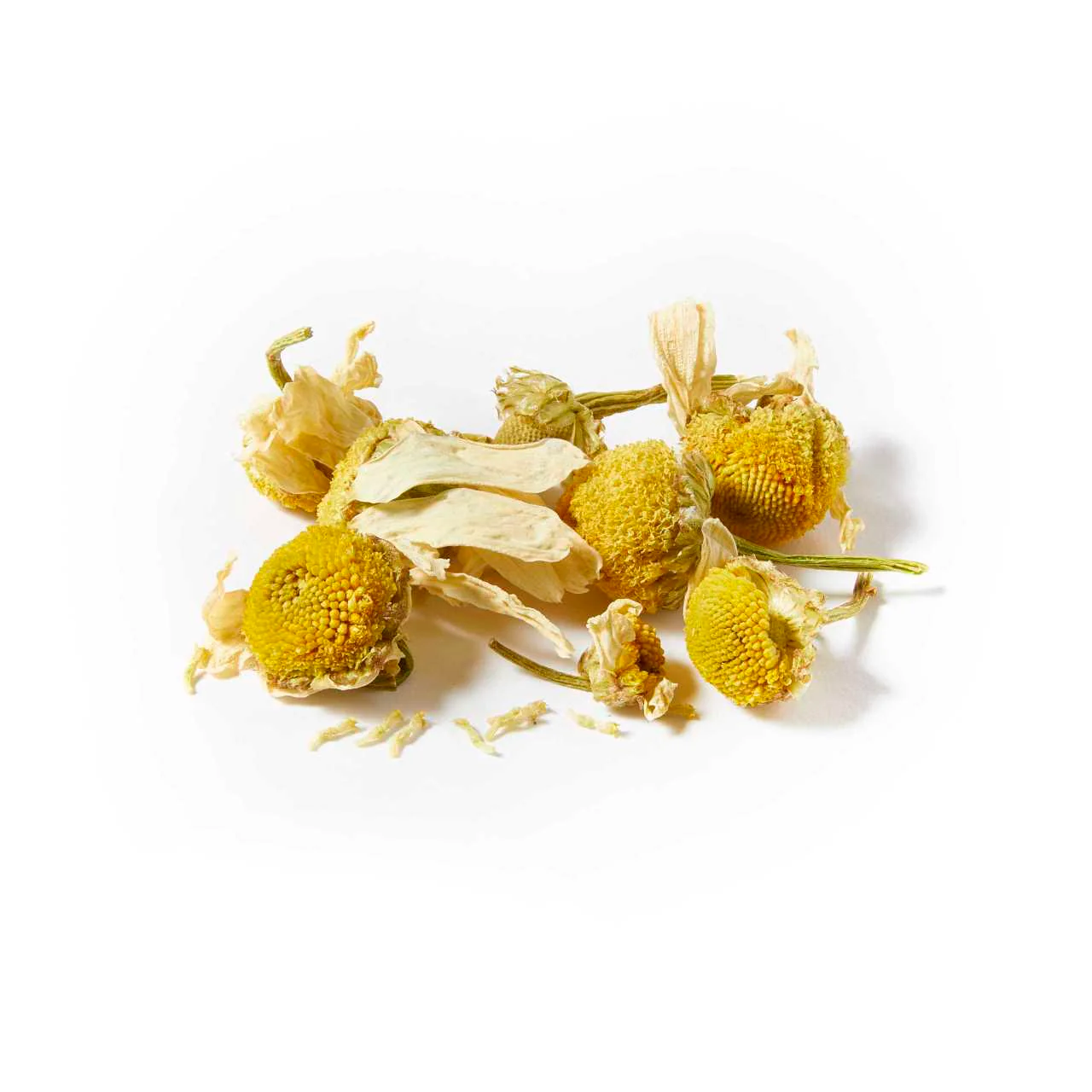 Whole Chamomile Blossoms - Teabag Envelopes - Image 3