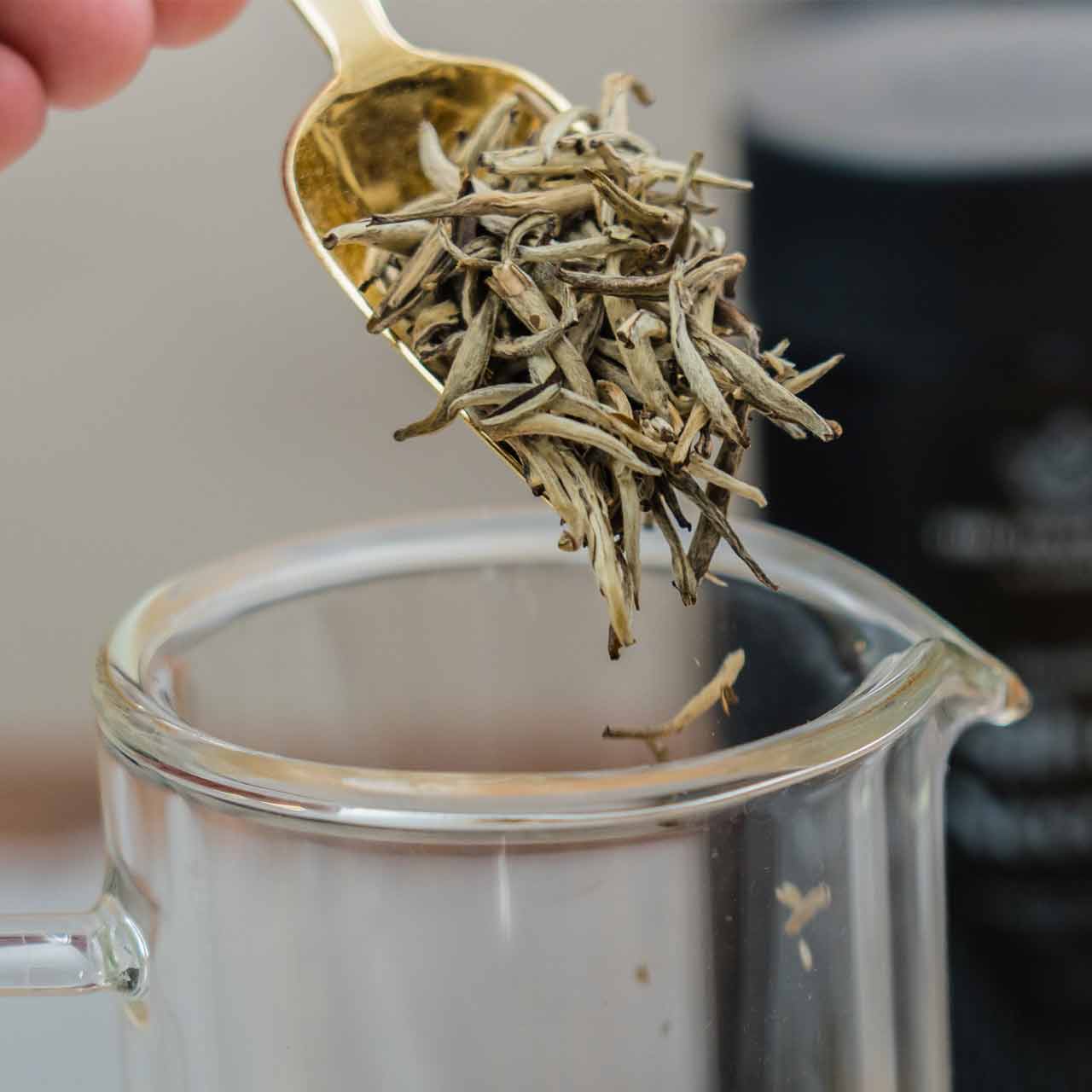 Jasmine Silver Needle - Loose Leaf Tea - Image 2